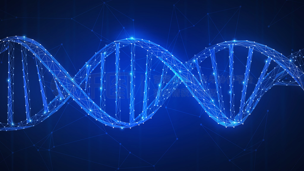 妍姿生物科技